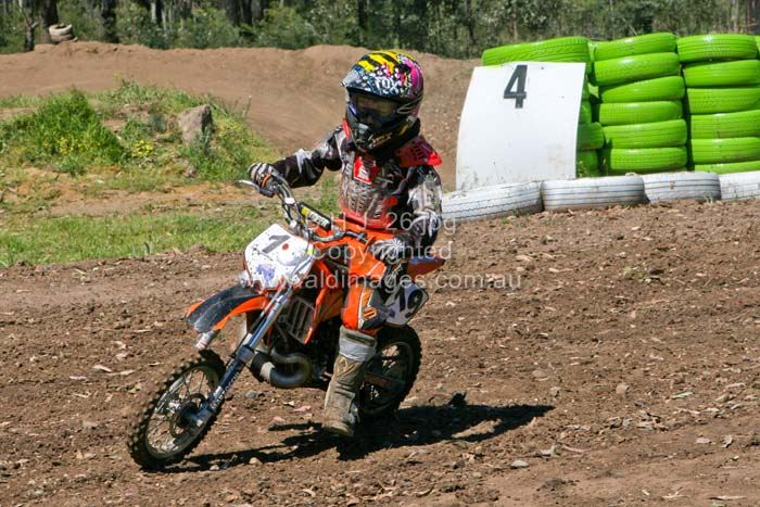 678x444 pixels (92K)